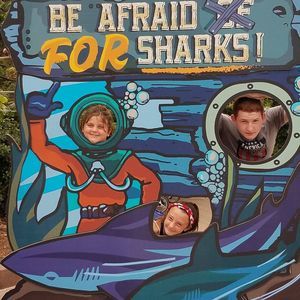 Meet your Posher, Steve